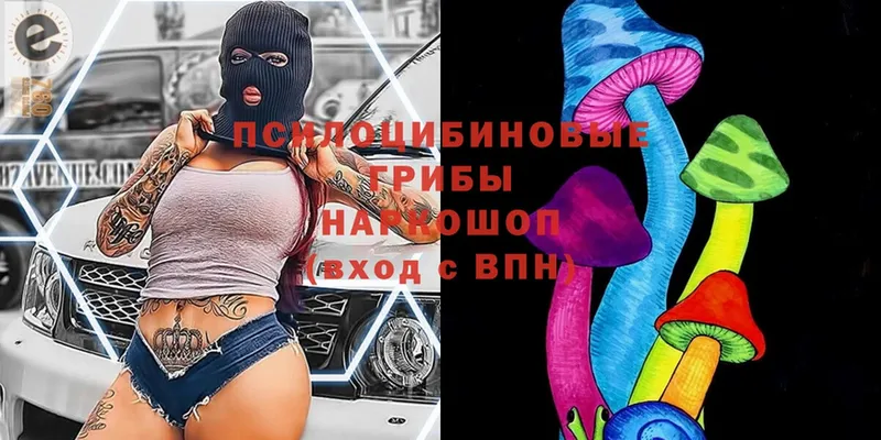 Псилоцибиновые грибы прущие грибы  OMG сайт  Когалым 